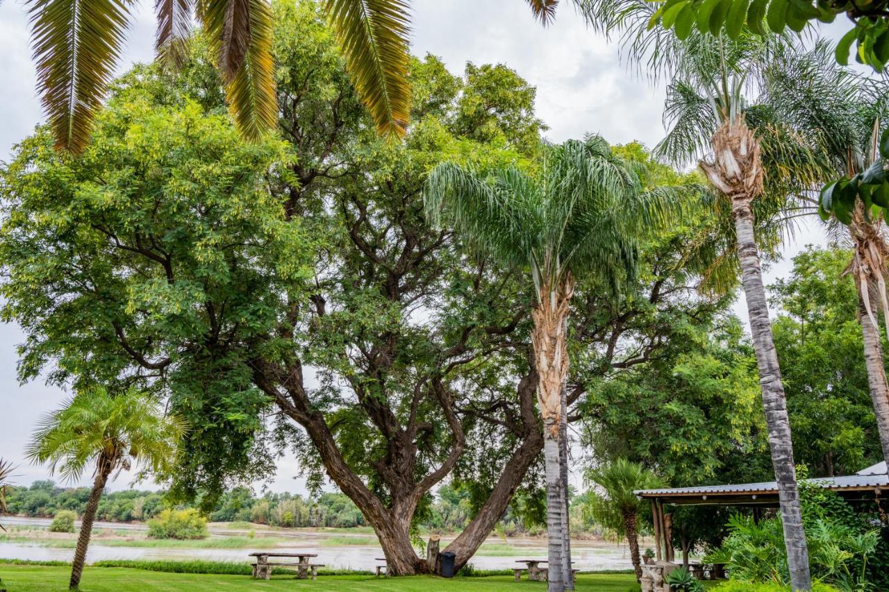 Riverbank Lodge Upington Dış mekan fotoğraf